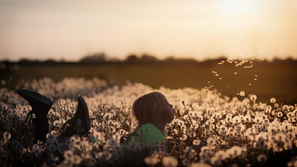 Breaking Anger: Identity and the Holy Pace of Life