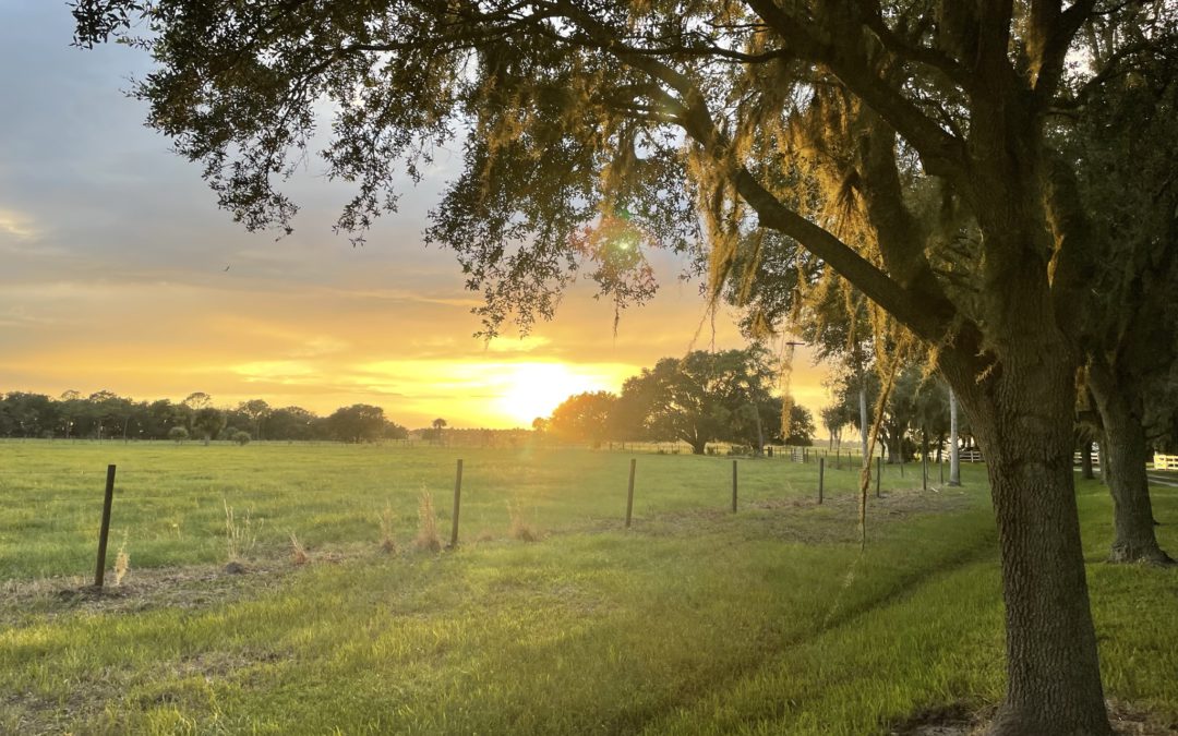 A Look into a Hearing God Retreat