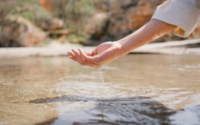The Well Will Not Run Dry